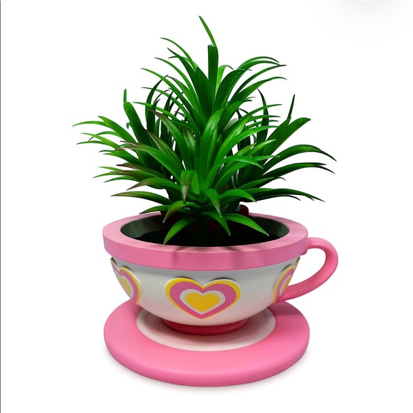 White Rabbit teacup succulent - Picture 2 of 2